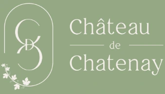 Château de Châtenay