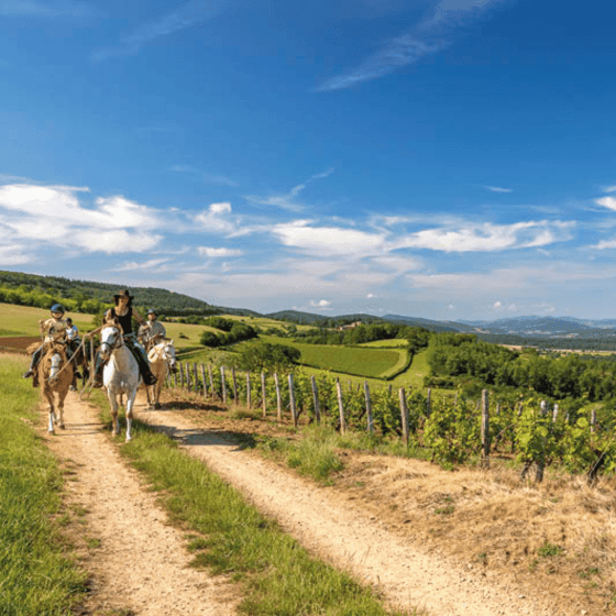 Activities Chateau de Chatenay Balade Cheval
